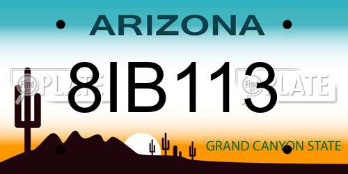 8IB113 Arizona License Plate