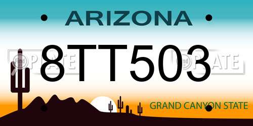 8TT503 Arizona License Plate