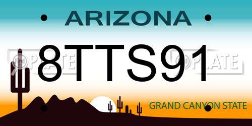 8TTS91 Arizona License Plate