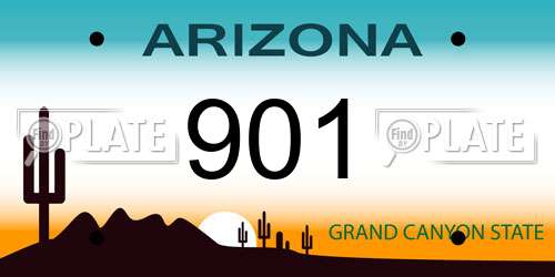 901 Arizona License Plate