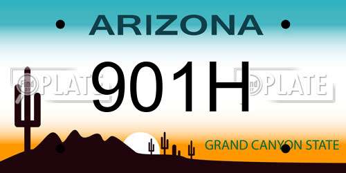 901H Arizona License Plate