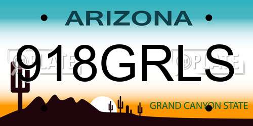 918GRLS Arizona License Plate