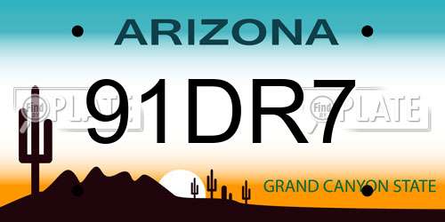 91DR7 Arizona License Plate