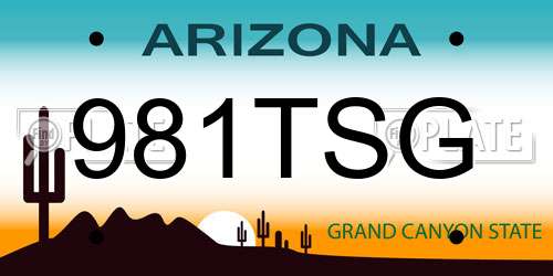 981TSG Arizona License Plate