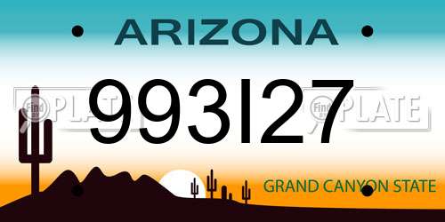 993I27 Arizona License Plate