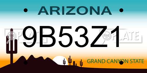 9B53Z1 Arizona License Plate
