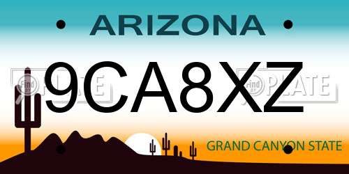 9CA8XZ Arizona License Plate