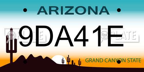 9DA41E Arizona License Plate
