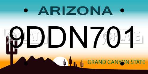9DDN701 Arizona License Plate