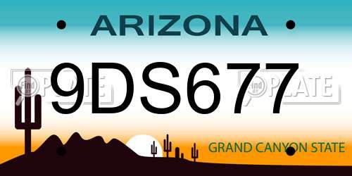 9DS677 Arizona License Plate