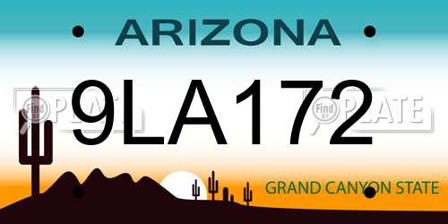 9LA172 Arizona License Plate