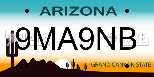9MA9NB Arizona License Plate