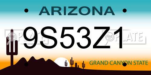 9S53Z1 Arizona License Plate