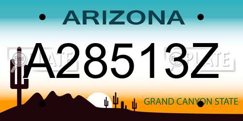 A28513Z Arizona License Plate