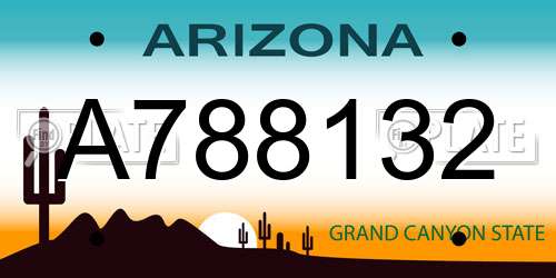 A788132 Arizona License Plate