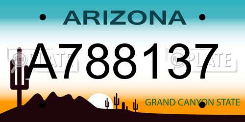 A788137 Arizona License Plate