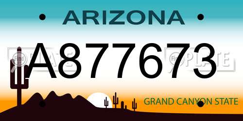 A877673 Arizona License Plate