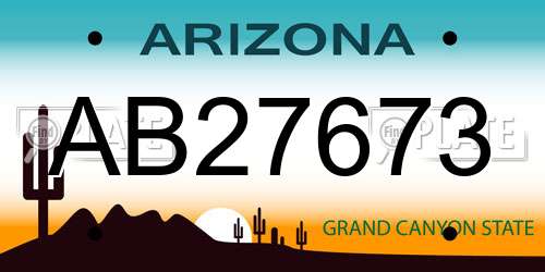 AB27673 Arizona License Plate