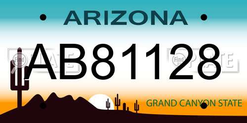 AB81128 Arizona License Plate