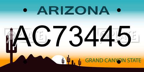 AC73445 Arizona License Plate