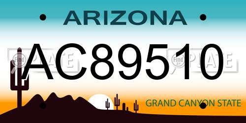 AC89510 Arizona License Plate