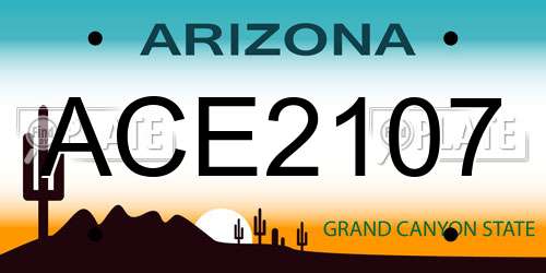 ACE2107 Arizona License Plate