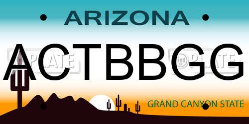 ACTBBGG Arizona License Plate