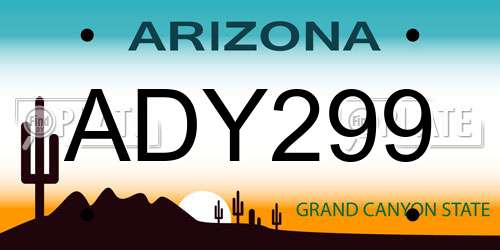 ADY299 Arizona License Plate