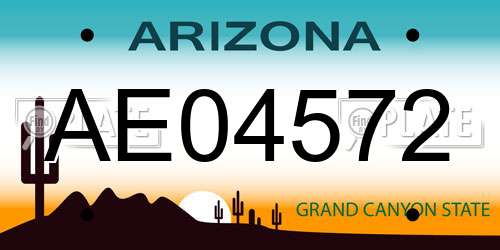 AE04572 Arizona License Plate