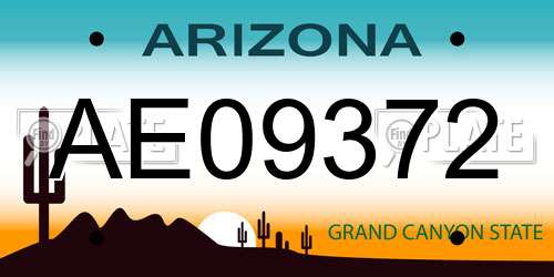 AE09372 Arizona License Plate