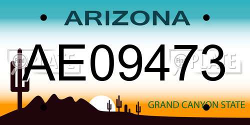 AE09473 Arizona License Plate
