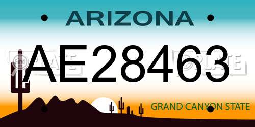 AE28463 Arizona License Plate