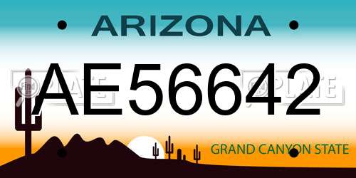 AE56642 Arizona License Plate