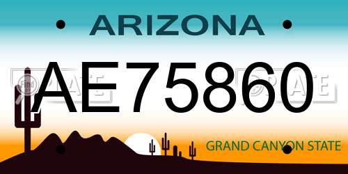 AE75860 Arizona License Plate
