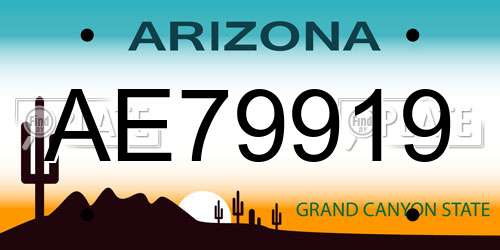 AE79919 Arizona License Plate