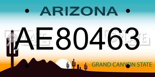 AE80463 Arizona License Plate