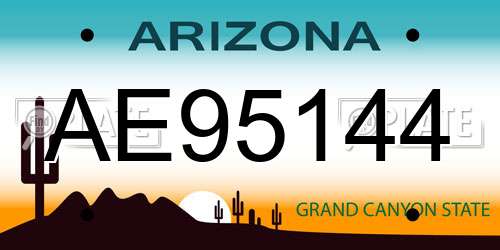 AE95144 Arizona License Plate