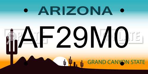 AF29M0 Arizona License Plate