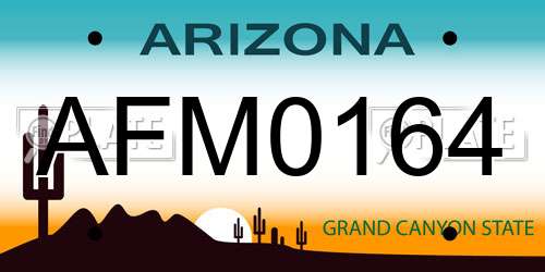 AFM0164 Arizona License Plate
