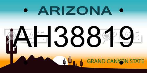 AH38819 Arizona License Plate