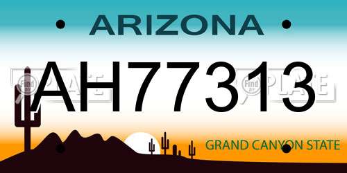 AH77313 Arizona License Plate