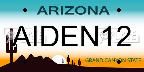 AIDEN12 Arizona License Plate