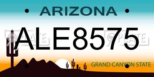 ALE8575 Arizona License Plate