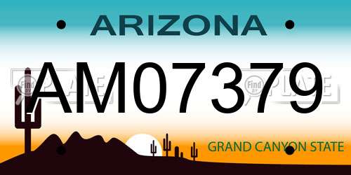 AM07379 Arizona License Plate
