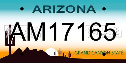 AM17165 Arizona License Plate