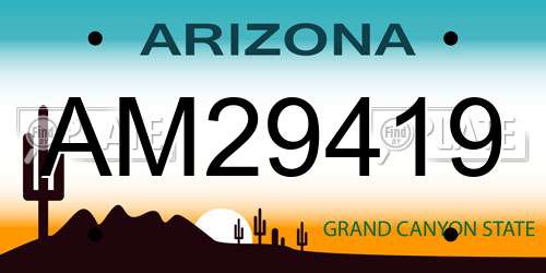 AM29419 Arizona License Plate