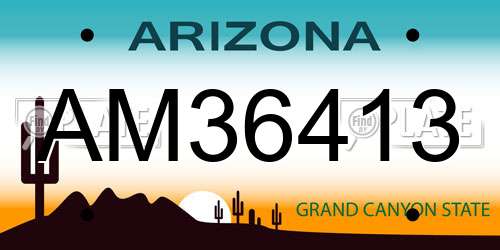 AM36413 Arizona License Plate
