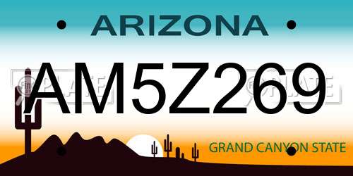 AM5Z269 Arizona License Plate