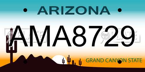 AMA8729 Arizona License Plate