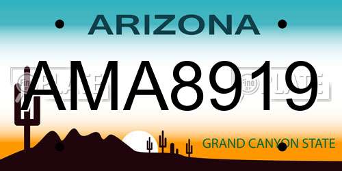 AMA8919 Arizona License Plate